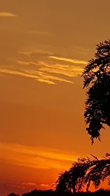 Ohne Filter