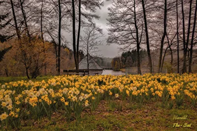 Frühling am Itzenplitzer Weiher