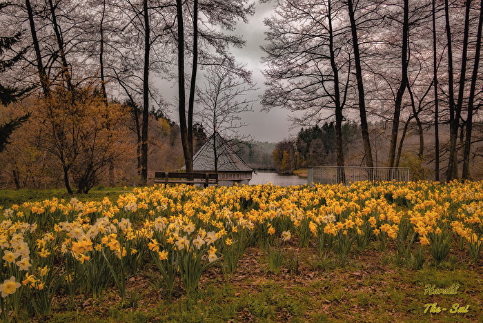 Frühling am Itzenplitzer Weiher
