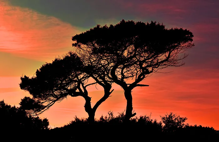 SOUTH AFRICA