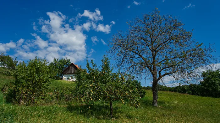 Weinweg
