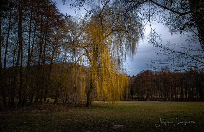 Goldener Vorhang