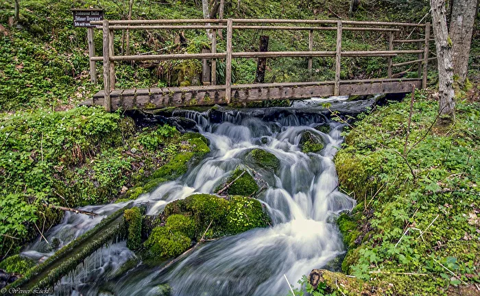 Ursprungsquelle in der Steiermark