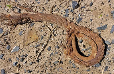vom Rost zerfressen