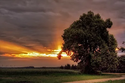 ohne Titel
