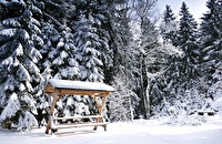 Winter im Vogtland-2