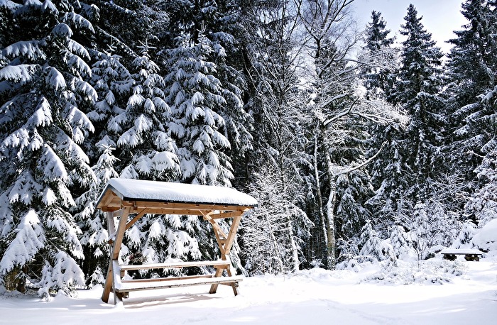 Winter im Vogtland-2