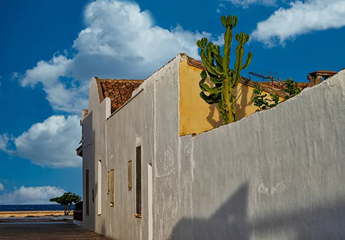 Haus und Garten am Meer