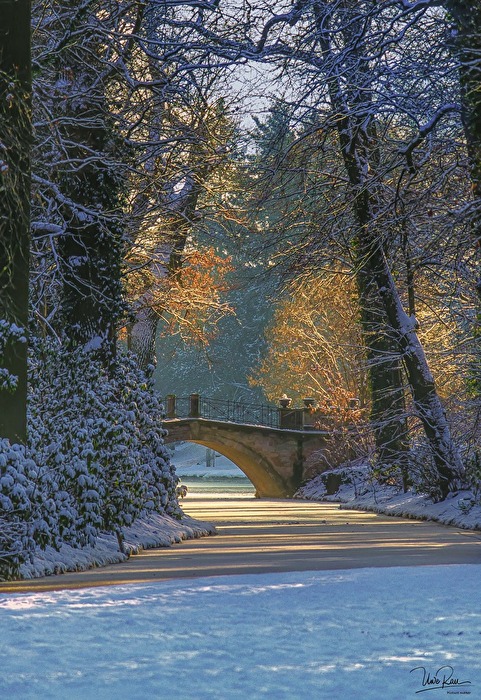 Wolfsbrücke