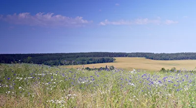 Kornblumenblau