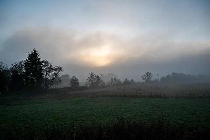 Morning Fog