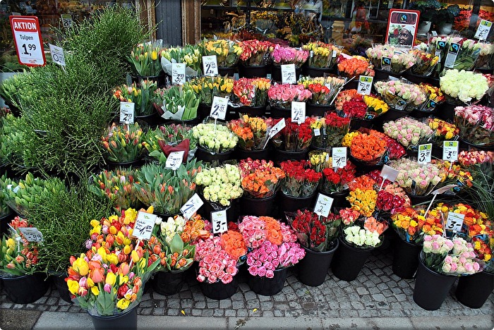 Frühlingsangebote