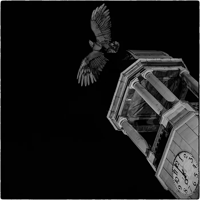Adler