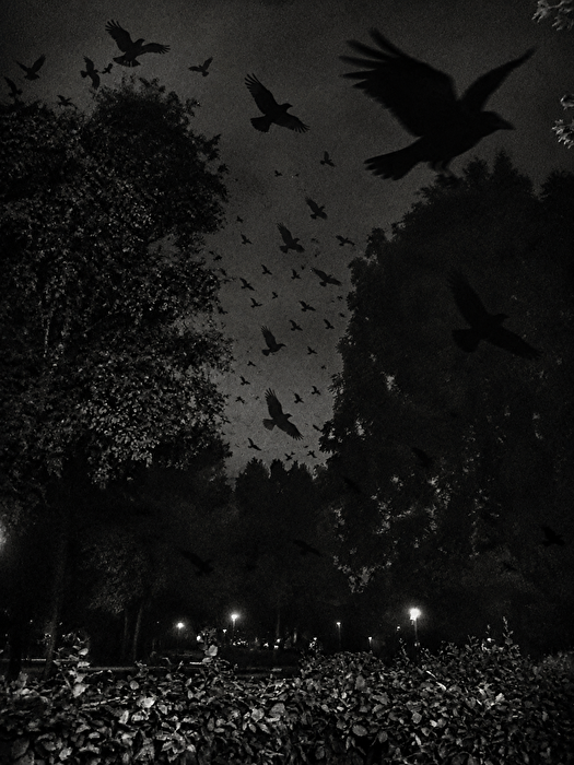 Creepy Saturday