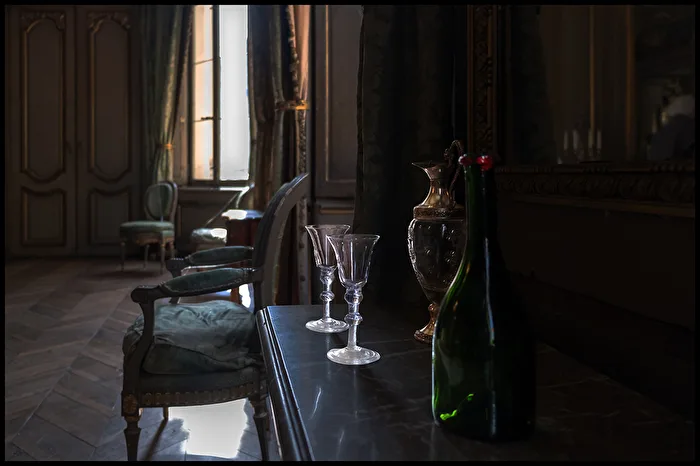 From the Series: The World of Count Jean Baptiste d'Hane de Steenhuyse