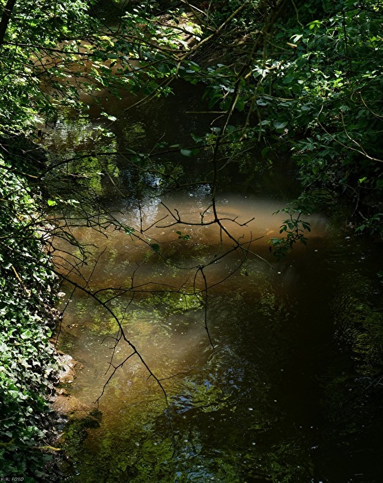 Am Bach