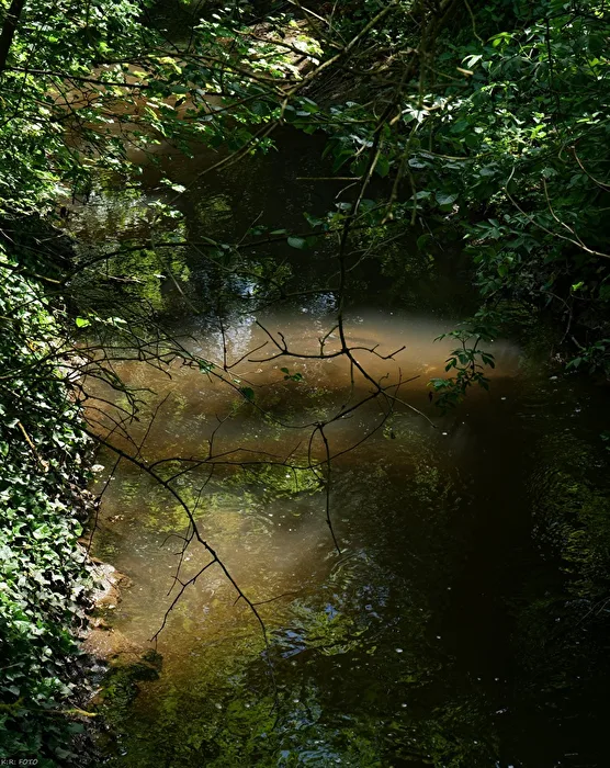 At the Stream