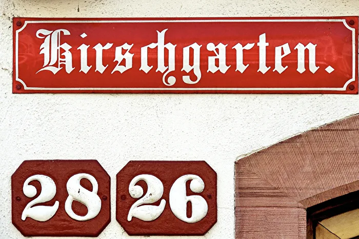 Im Herzen der Mainzer Altstadt