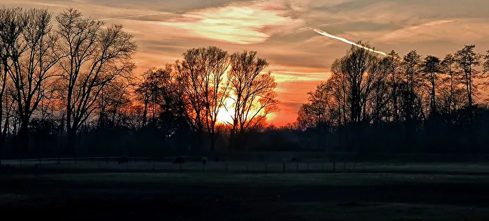 Mein täglicher Spaziergang