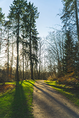 Ein Spaziergang an der Harburger Außenmühle