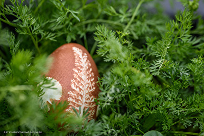Ostern 2025 (4)