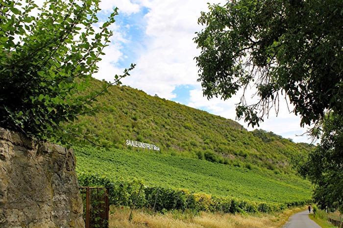 Eine Wanderung (4)