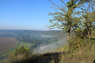 Die Saalehäuser im Morgennebel