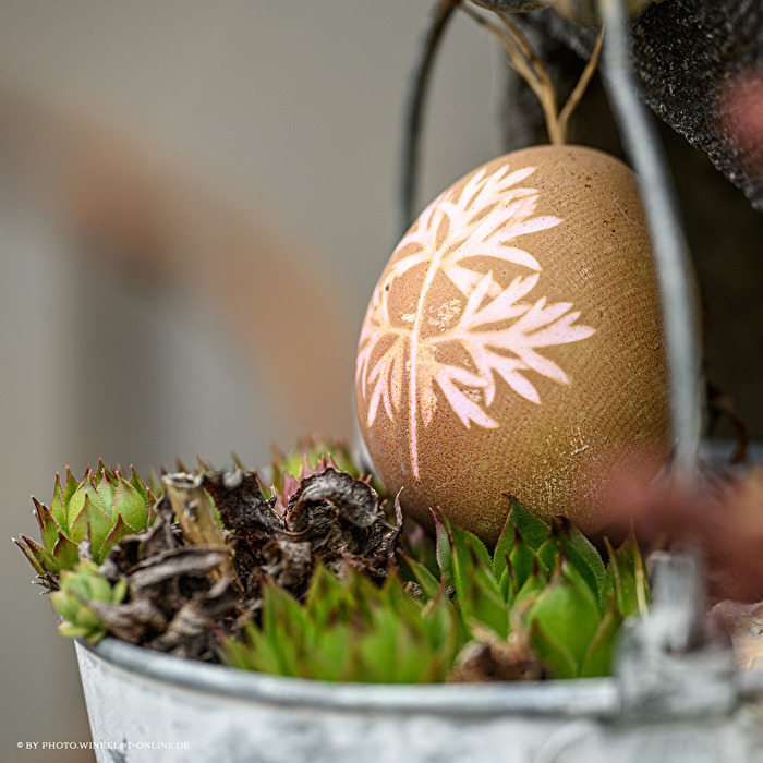 Ostern 2025 (3)