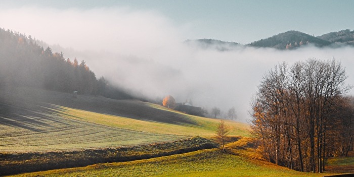 Morgennebel