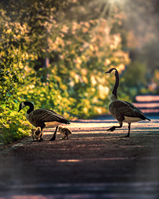 Familienausflug
