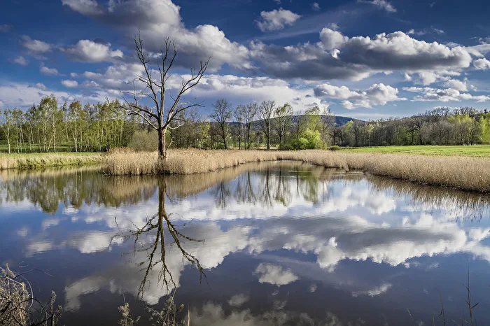 Spring at the Lake