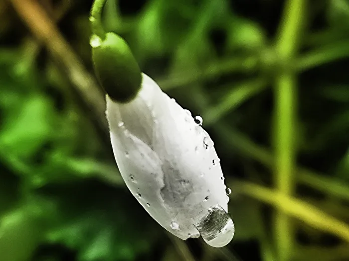 small and large drops
