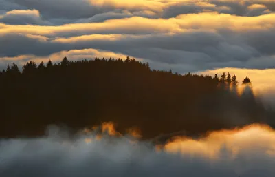 Inversion ...,