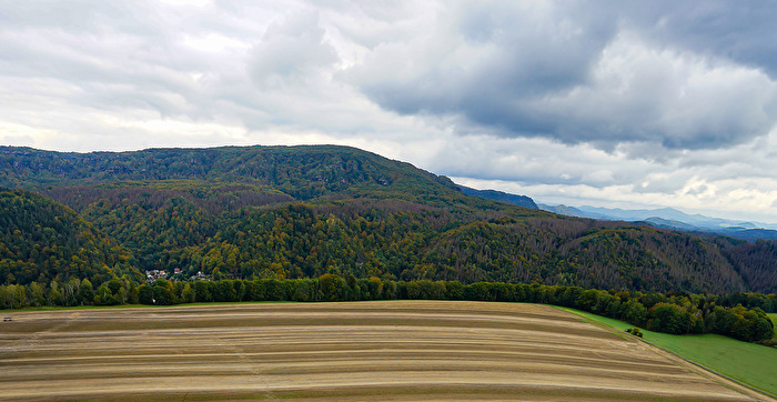 Feld