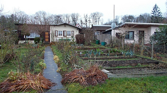 Gartenanlage im Winter