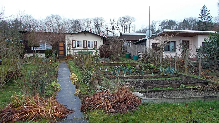Garden in Winter
