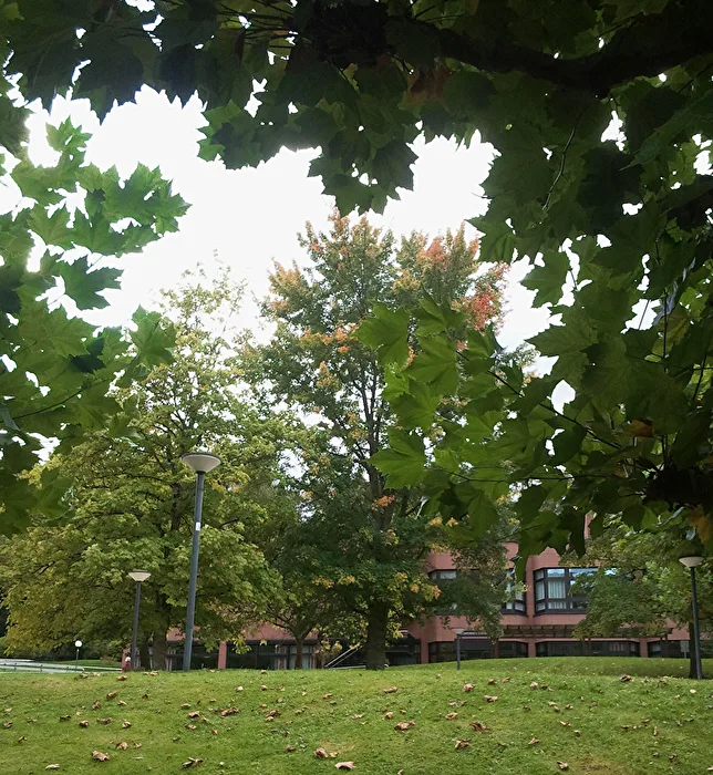 Automne en approche