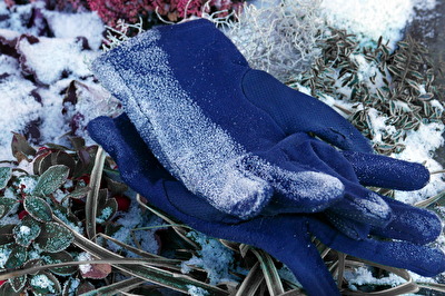 Verloren - winterliche Fundstücke