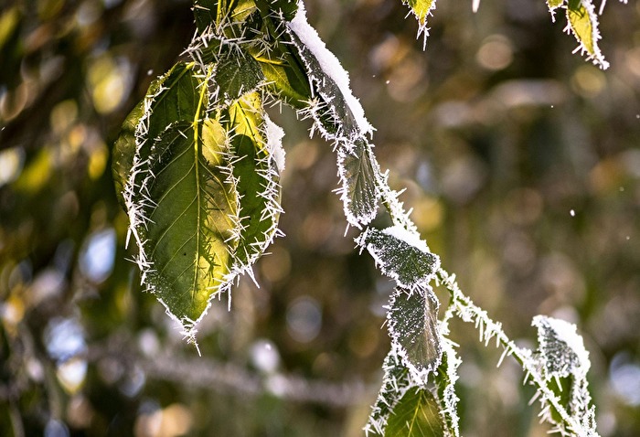 Eiszapfen