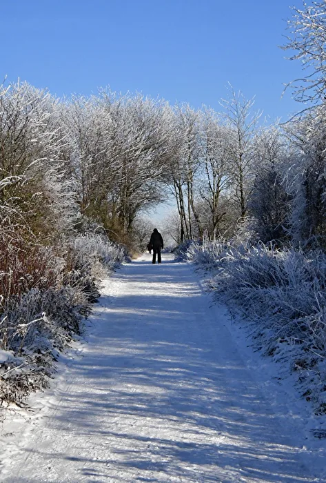 Eiswelten