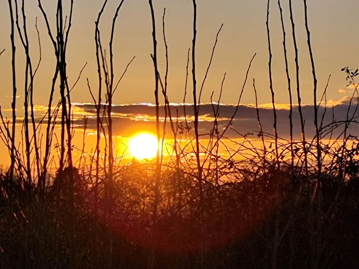heute Abend
