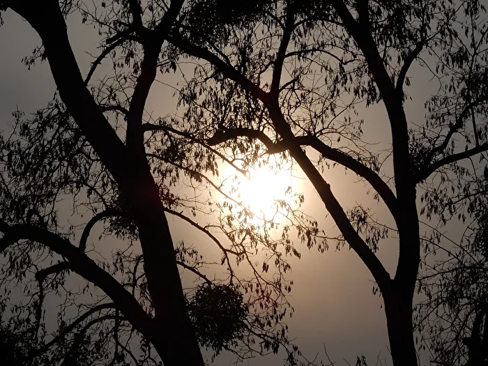 Abendstimmung