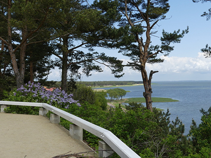 Kurische Nehrung II