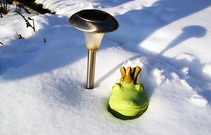 der Frühling kommt