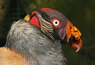 ohne Titel