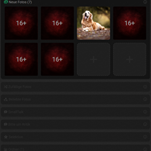 Portfolio amélioré