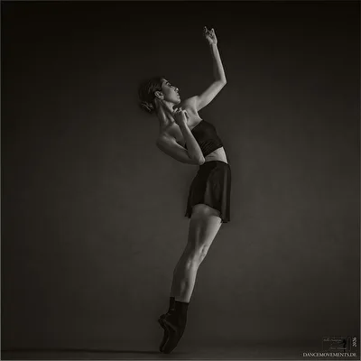 FineArtBallet