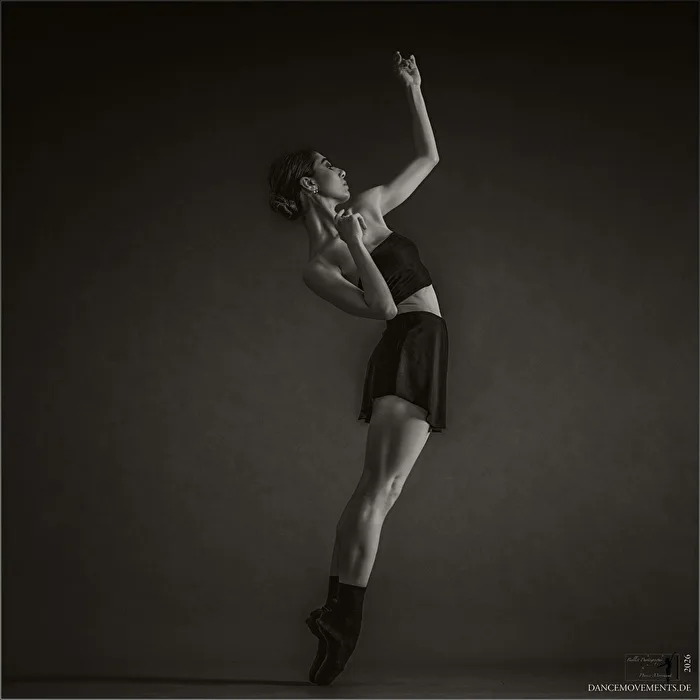 FineArtBallet