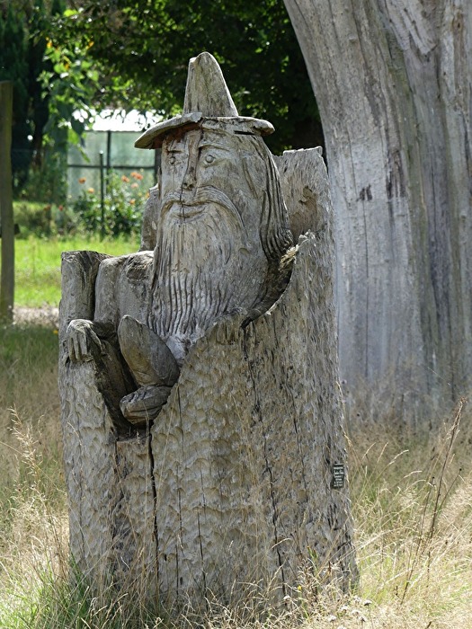 Guten Morgen, Waldmenschen