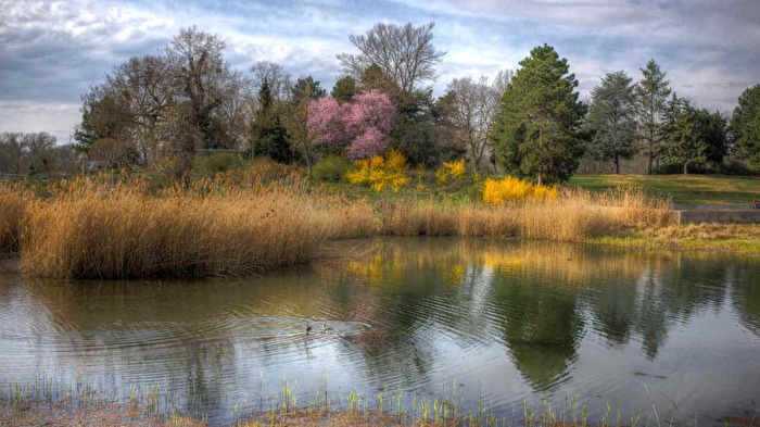Frühling im Donaupark